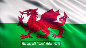 صورة1